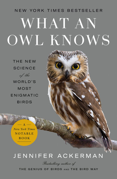 What an Owl Knows [JUN.4]