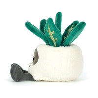 Amuseable Skull Planter