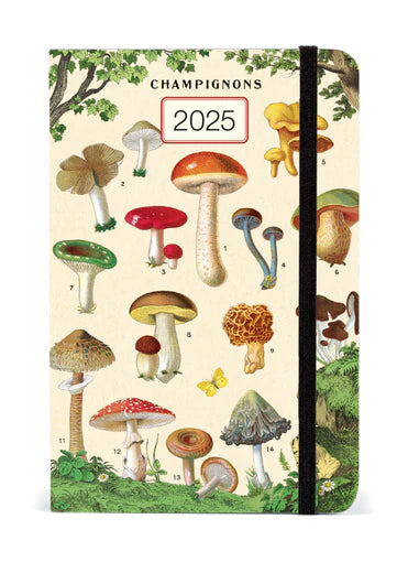 Cavallini & Co. Mushrooms 2025 Weekly Planner