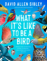 What It's Like to Be a Bird (Adapted for Young Readers)