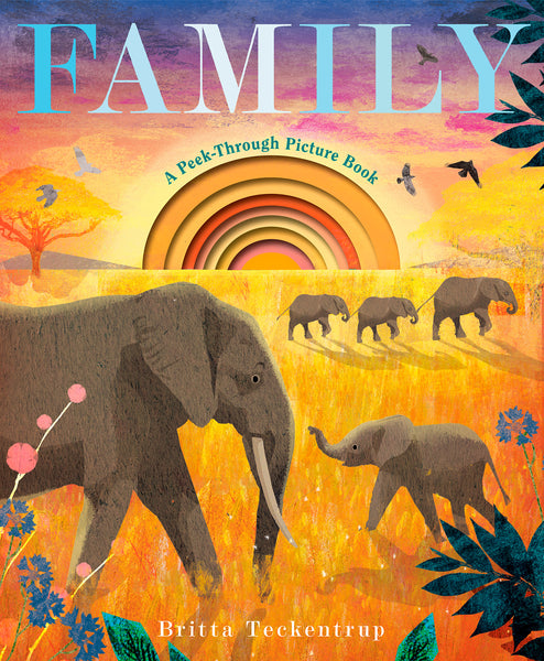 Family: A Peek-Through Picture Book [MAR.4]