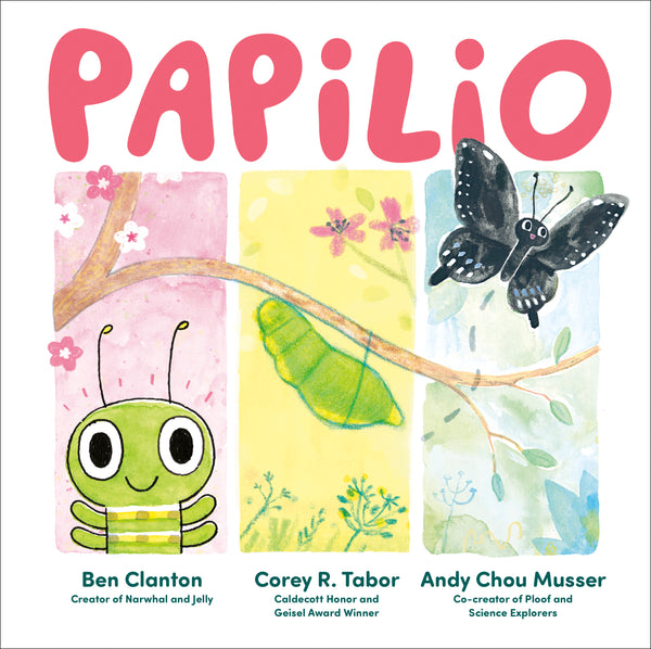 Papilio [MAR.4]