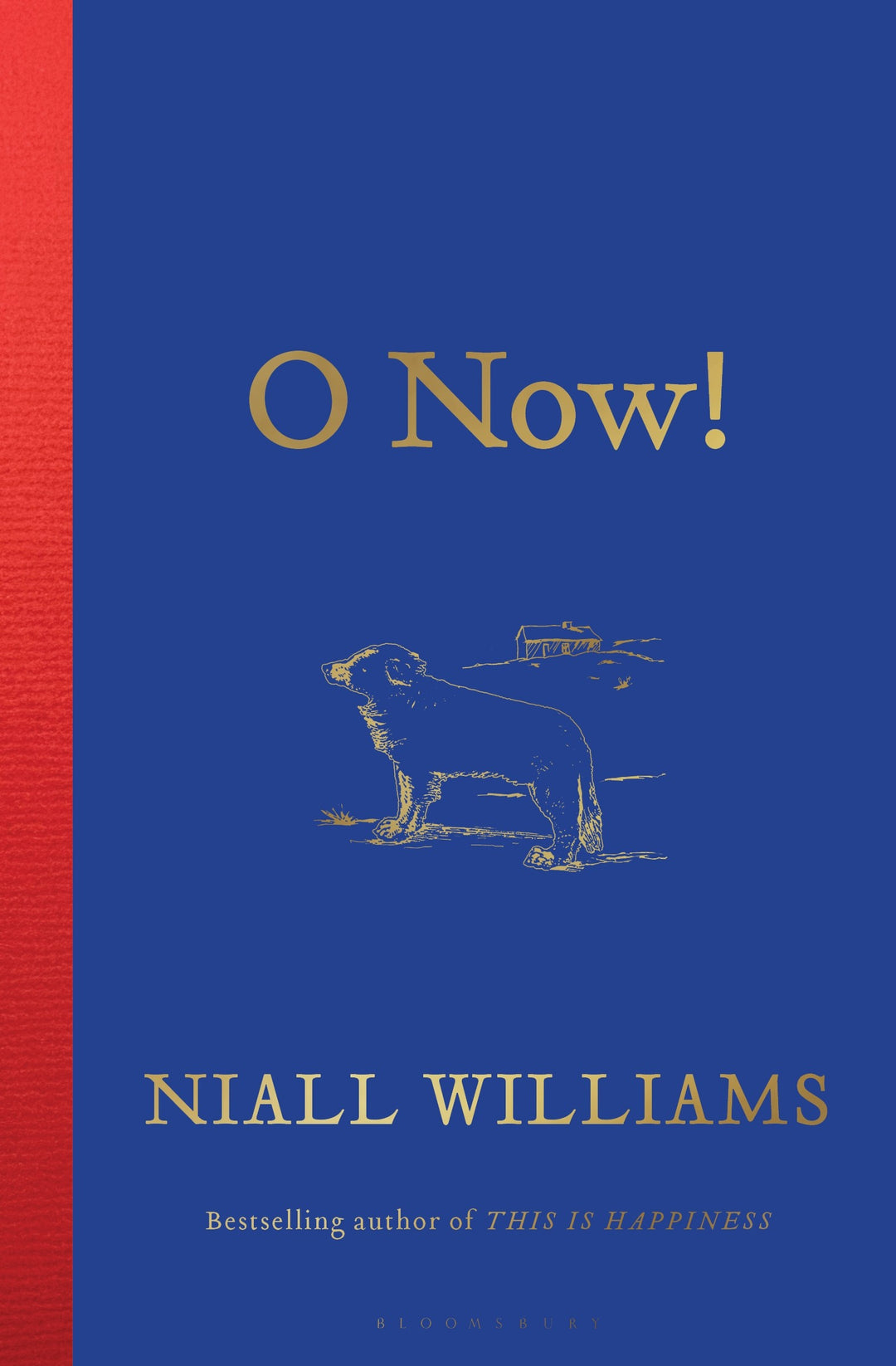 O Now! [NOV.10]