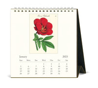 Cavallini & Co. Botanica 2025 Desk Calendar