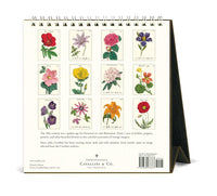 Cavallini & Co. Botanica 2025 Desk Calendar