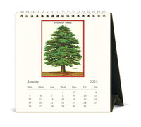 Cavallini & Co. Arboretum 2025 Desk Calendar