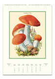 Cavallini & Co. Champignons 2025 Wall Calendar