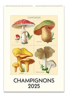 Cavallini & Co. Champignons 2025 Wall Calendar