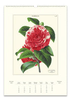 Cavallini & Co. Botanica 2025 Wall Calendar