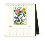 Cavallini & Co. Floreale 2025 Desk Calendar