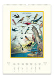 Cavallini & Co. Bird Watching 2025 Wall Calendar