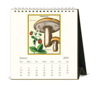 Cavallini & Co. Foraging 2025 Desk Calendar