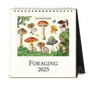 Cavallini & Co. Foraging 2025 Desk Calendar