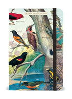 Cavallini & Co. Bird Watching Small Notebook (with elastic closure)