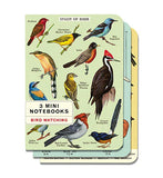 Cavallini & Co. Bird Watching Mini Notebook Set