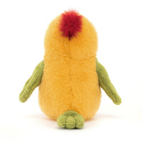 Budgeby Parrot