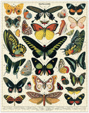 Butterflies: 1000 Piece Puzzle