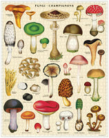 Mushrooms: 1000 Piece Puzzle