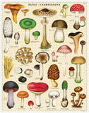 Mushrooms: 1000 Piece Puzzle