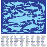 Shark World: 100 Piece Puzzle