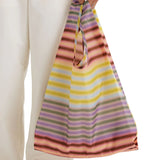 Standard Baggu: Gradient Stripe Multi