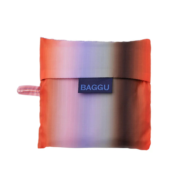Standard Baggu: Gradient Stripe Poppy & Lilac