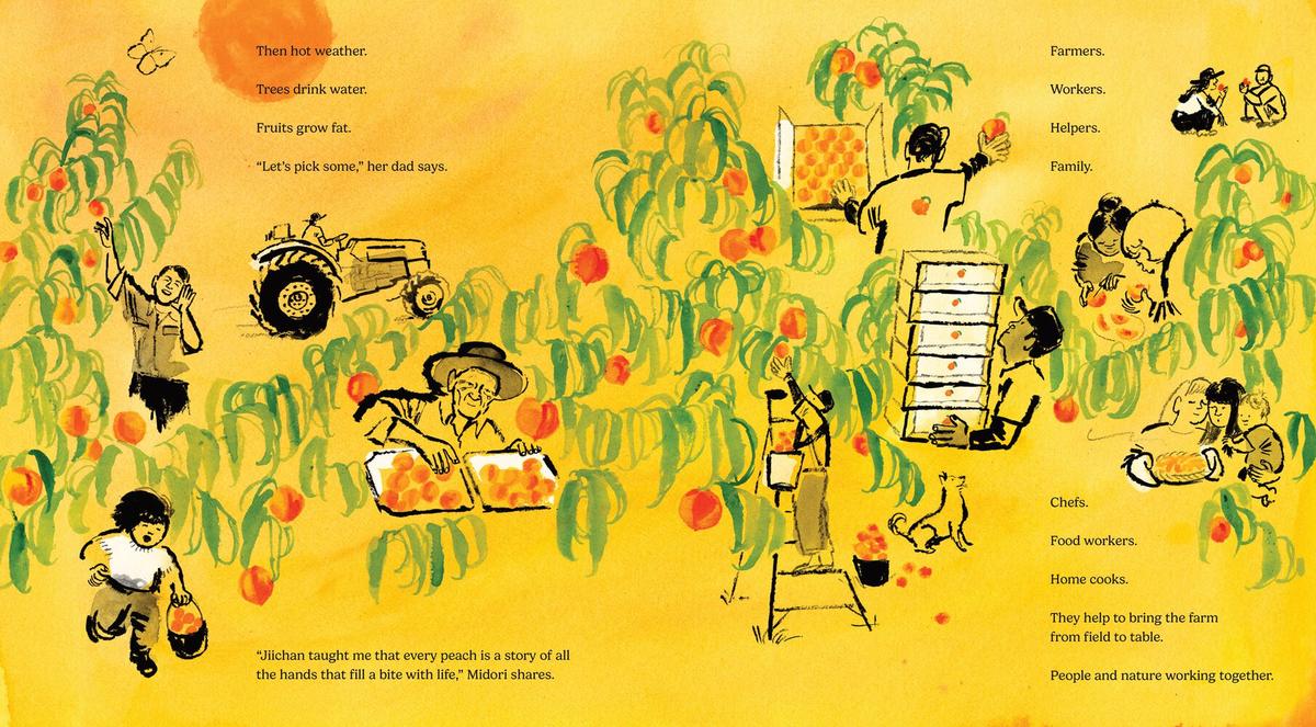 Every Peach Is A Story – TYPE Books