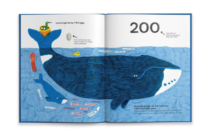 Octopuses Have Zero Bones