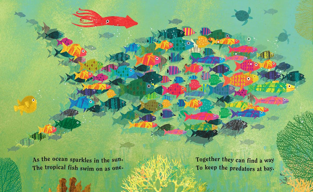 Ocean: A Peek-Through Board Book