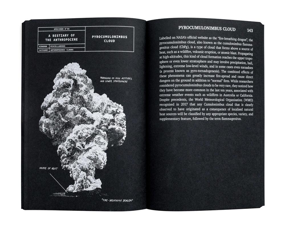 A Bestiary of the Anthropocene