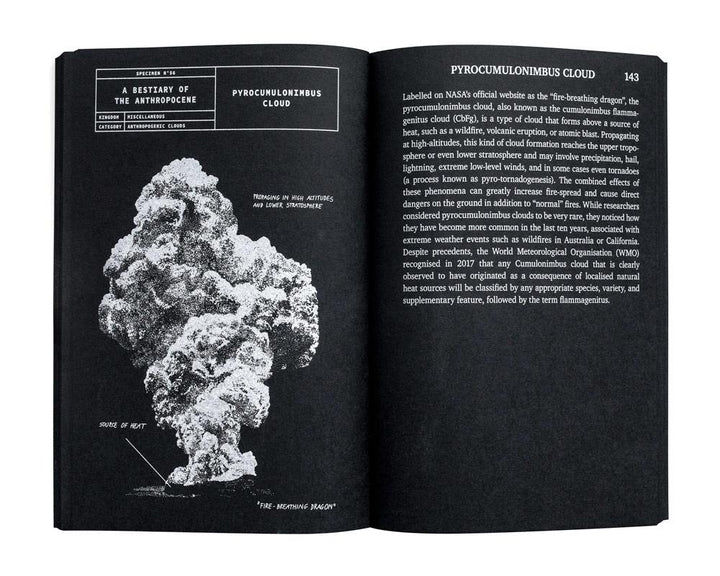 A Bestiary of the Anthropocene