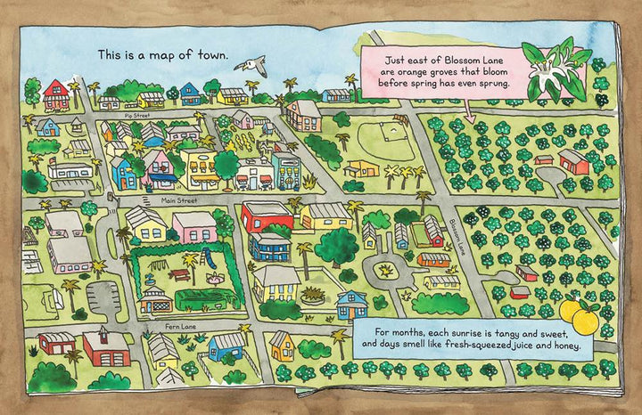 A Book of Maps for You