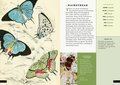 The Little Book of Butterflies