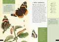 The Little Book of Butterflies