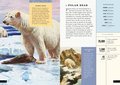 The Little Book of Animals of the Artic