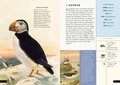 The Little Book of Animals of the Artic