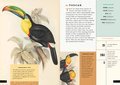 The Little Book of Birds of the World