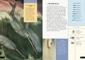 The Little Book of Animals of the Artic
